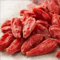 Hot Selling High Quality Ningxia Organic Goji Berries Air Dried Chinese Red Wolfberry