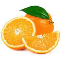 Fresh Orange Bulk Buy Orange Price Tangerine Mandarin Orange for Sale