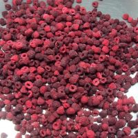 Frozen Organic Raspberries Freezing Fresh Red Raspberry Fruit