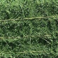 ALFAFA HAY in BALES, TIMOTHY HAY, and ALFAFA HAY PELLETS for SALE LUCERNE ALFALFA HAYS for ANIMAL FEEDING