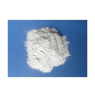 High Purity 99% Caco3 Calcium Carbonate Powder Calcium Carbonate Factory Price