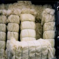 Top Quality Sisal Fibre / Sisal Hemp / Natural Ug Grade. Best Price in the Market