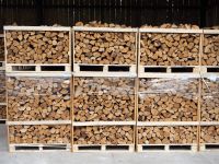 Durable High-Grade KD Lumber Wood Solid Pine Birch Paulownia Poplar for Furniture and Warehouse Quality Timber Material