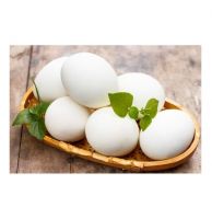 High Quality Cheap Wholesale Price White / Brown Shell Fresh Table Chicken Eggs for Sale