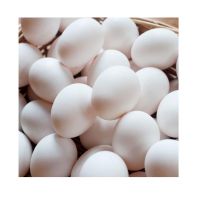 Fertilized Chicken Eggs/ Cobb 500 Broiler Chicken Eggs/Fresh Cobb 700 Fertile Eggs Fresh White and Brown Table Eggs