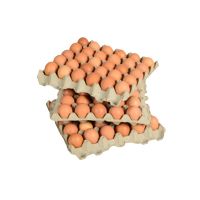 Hot Selling Fresh Farm Brown Chicken Eggs Wholesale Price