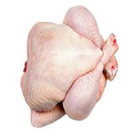 High Quality Frozen Whole Chicken Frozen Chicken for Sale Brazil Halal Whole Chicken Clean for Sale