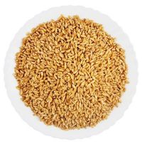 High Quality GMO Wheat Grain in Bulk Whole Nutrition Dried Food for Export