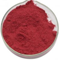 Raw Material 99% Chromium Picolinate / Picolinic Acid Chromium(III) Salt 14639-25-9 Feed Additives