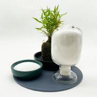 Best Cationic Polymer Flocculant High Quality Water Treatment Catalyst Cheap Price Raw Materials Cationic Polyacrylamide