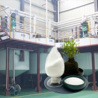 Cationic Polyacrylamide Polymer Flocculant White Powder Polyacrylamide Flocculant cationic Polyacrylamide For Water Treatment