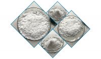 Precision-Fermented Bioactive Compound for Sustainable Animal Nutrition Solutions Using Yeast Selenium 3000
