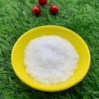 Xylitol CAS 87-99-0 Food Grade Sweetener Sugar Xylitol Powder Wholesale Organic