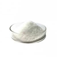 Hot Selling Polyvinylpolypyrrolidone PVPP Crospovidone 25249-54-1 With Best Price