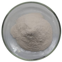 High Quality Nisin Food Preservative Nisin E234 Nisin Powder CAS 1414-45-5