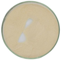 Ã¢ï¿½ï¿½E234 Natural Preservative 1000IU Nisin Food Preservative Nisin Powder Nisin