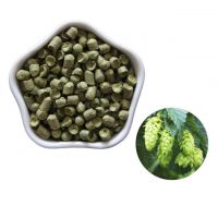 Price Hops Extract Ã¢ï¿½ï¿½ High Quality Hops Flower Extract for Health Benefits