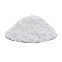Nano Precipitated Micronized Calcium Carbonate Plant PVC Filler Powder Price Per Ton For Animal Feed PCC CaCO3 For Fertilizer