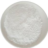 Light Food Grade Calcium Carbonate CaCO3 White Powder CAS 471-34-1 Food Additive
