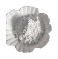 Calcium Carbonate 85% Caco3 Filler Masterbatch With High Quality And Low Price