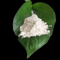 99.9%min Light Magnesium Oxide/Active Magnesium Oxide (Industrial Grade) CAS No1 309-48-4