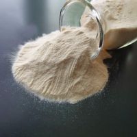 High Quality Poly(vinyl Chloride-co-isobutyl Vinyl Ether) CAS:25154-85-2 ISO 9001:2005 REACH Verified Manufacturer