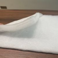 100% polyester 43 gsm fusible interlining woven fabric