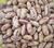 100% Light Speckled Kidney Beans / Pinto Beans / Sugar Beans