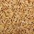High Quality Hot Seller South Africa Original bulk yellow oats seeds for sale