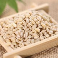 Wholesale bulk barley grain agricultural crop