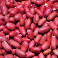  Red skin peanuts