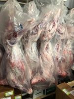 HALAL Fresh, Frozen Goat/ Mutton Meat/ Lamb Meat Carcass