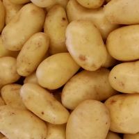 Potatoes