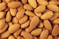 High Quality  South Africa Almond Nuts