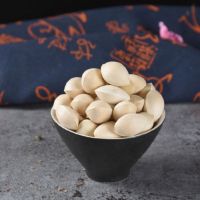 Wholesale Best Quality Ginkgo Nuts