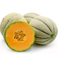 FRESH SWEET HAMI MELON