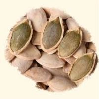 Superior high quality pumpkin seeds hot sale