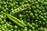 New green peas wholesale IQF frozen pea bean