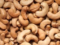 Raw / Salted Roasted Cashew Nuts W180, W210, W240, W320, W450 - Cashew Nuts