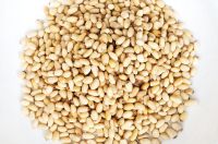 Best Price Organic Pine nuts available at great rates