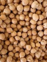 High Quality White Dried Chickpeas available at great rates