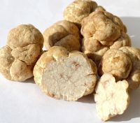 Truffles available at great rates