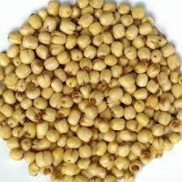 WHOLESALE DRIED LOTUS SEED AVAILABLE AT GREAT RATES