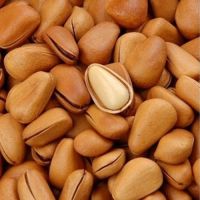 100%Pure Natural Wild Pine Nuts Edible Nuts