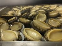 Frozen Gold abalone for sale