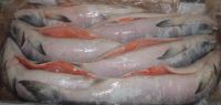 Frozen Salmon Fish Fillet whole round fish HG-off Fresh frozen BQF IQF oncorhynchus nerka red salmon fish