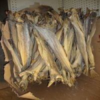 Dried Stockfish Cod from Norway,Dried Norwegian Stock fish & Cod heads/Cod and Dried Stock Fish Sizes from Norway Dried