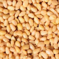 siberian pine nuts prices/specification/wholesale