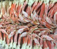 Red Snow Crab Cluster Meat/Quality Snow Crab Cluster legs/Frozen Snow Crab Cluster