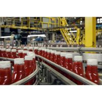 Canned Tomato Paste, Tomato Sauce, Tomato Ketchup available at great rates